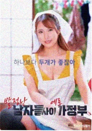 南来北往